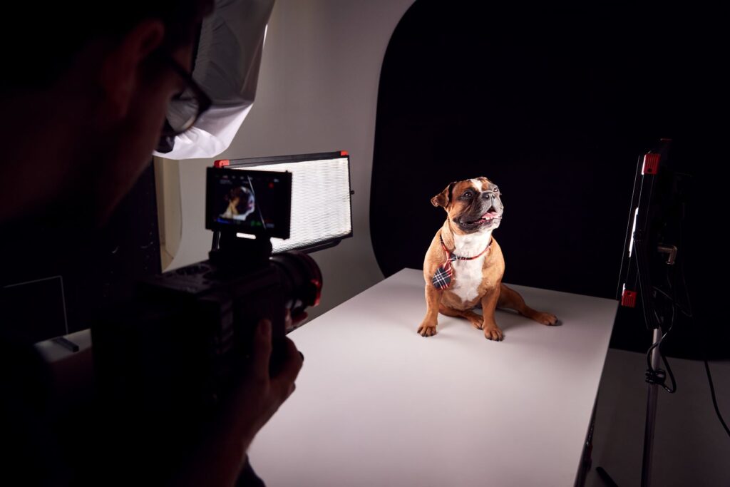What camera settings will a pet photographer prefer and why